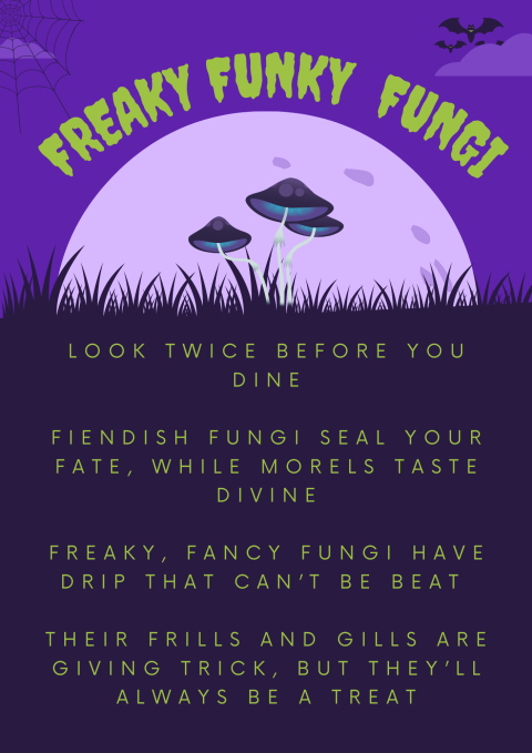 Freaky, Funky, Fungi. Look twice before you dine. Fiendish fungi seal your fate, while morels taste divine. Freaky, fancy fungi have drip that can’t be beat. Their frills and gills are giving trick, but they’ll always be a treat.