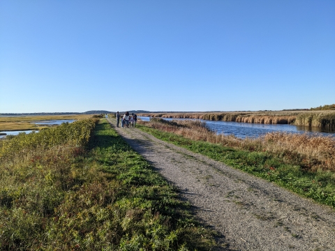 Image of people walking on trail along impoundment and marsh