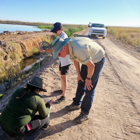 Refuge staff and volunteers perform fish surveys