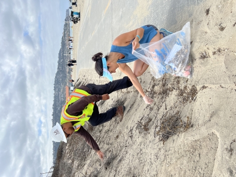 man in yellow vest and hard hat and woman in shorts and tank top pull weeds from dune