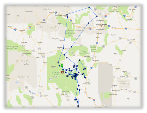 Map plotting points of Mexican wolf who has dispersed from its pack