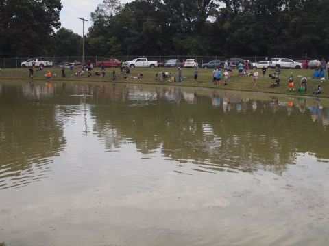 Fish Fest in action