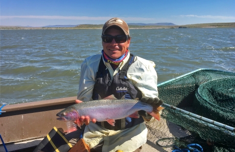 A Summit Lake Paiute Tribe fish biologist holding a Lahontan cutthroat trout