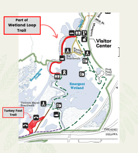A closeup of the trail map indicating trail closures for restoration. Part of the Wetland Loop Trail from the trailhead to the observation tower is closed. In addition, Turkey Foot Trail is also closed. 