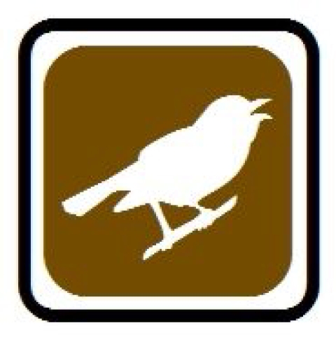 symbol of a bird