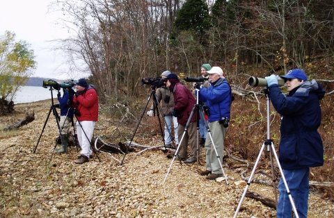Birders with long range lenses and tripods between forest and the water watching birds.