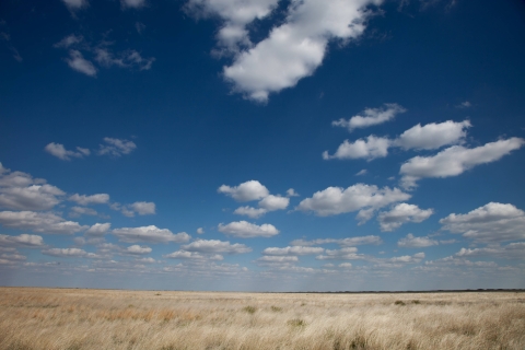 Image of high prairie on sunny day