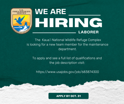  Graphic with white text and a green background with USFWS logo. The text reads: The Kaua`i National Wildlife Refuge Complex is looking for a new team member for the maintenance department. To apply and see a full list of qualifications and the job description visit: https://www.usajobs.gov/job/683874300. Apply by Oct. 31.