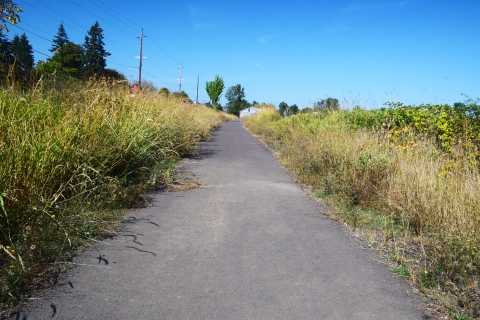 Paved trail runs straight through tall grass which lines both sides; power lines and trees in distance.