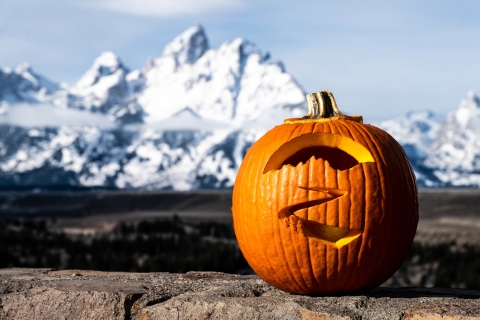 A carved pumpkin sits on a rock ledge with a snowy mountain in the background.