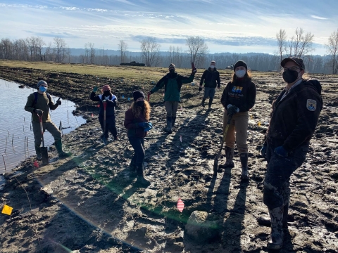 Fish and Wildlife and Lower Columbia Estuary Partnership staff stand with volunteers while planting willow cuttings along a wetland at Steigerwald Lake National Wildlife Refuge.