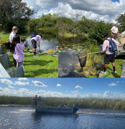 Collecting and Stocking fish for the Old Tamiami Canal Restoration, Miccosukee Tribe of Indians of Florida Reserve Area