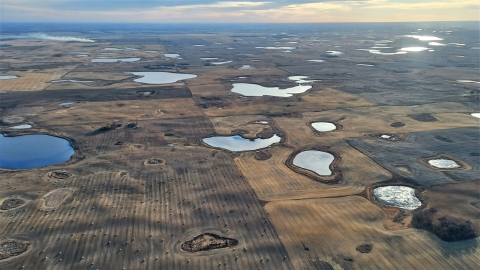 Aerial photo of wetlands scattered across farm fields.