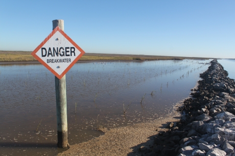 A breakwater and a warning sign reading "Danger: Breakwater" in front of a marsh with smooth cordgrass sprouting from the water.