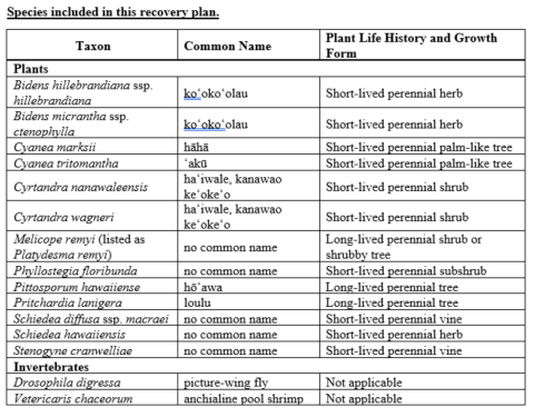 A chart that list the species listed in the draft recovery plan.