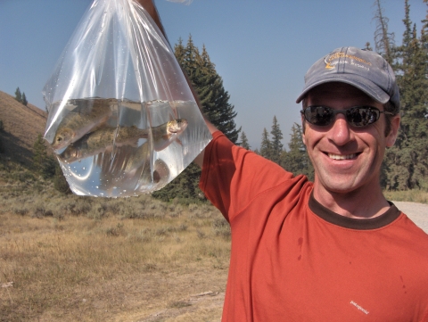 A person holds a plastic bag with water and about four medium sized fish