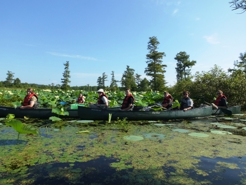 A group of people in canoes in a refuge waters.