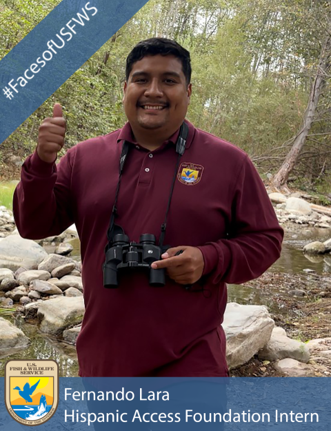 A man in a red shirt giving the camera a thumbs up with a pair of binoculars hanging around his neck. A banner in the top left corner reads "#FacesofUSFWS". The USFWS logo appears in the bottom left corner and a banner across the bottom of the image reads "Fernando Lara, Hispanic Access Foundation Intern".