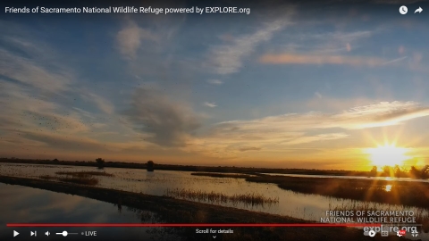 Image of sunrise view from Friends of the Sacramento NWR webcam