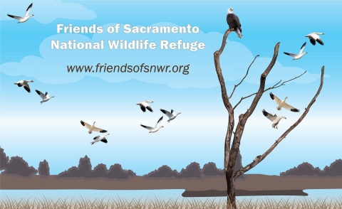 Logo for Friends of the Sacramento NWR showing an illustration of snow geese flying about a marsh and a bald eagle perched in a tree