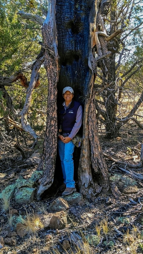 A person stands inside of a hollow charred tree.