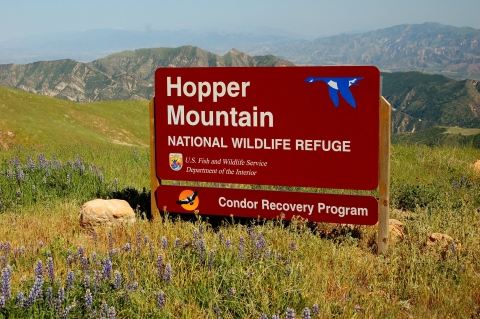 An outdoor sign that says "Hopper Mountain National Wildlife Refuge, Condor Recovery Program"
