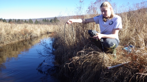 An AmeriCorps intern testing water quality with a YSI 