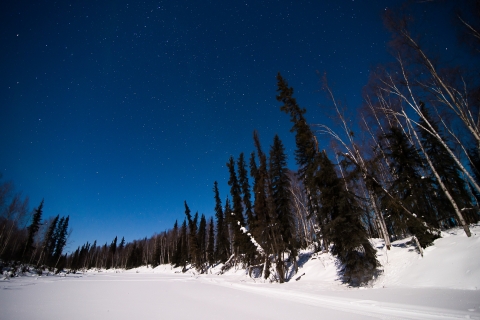 stars over a snowy creek with trees along the bank