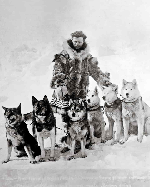a man in a fur coat stands with 6 sled dogs in the snow