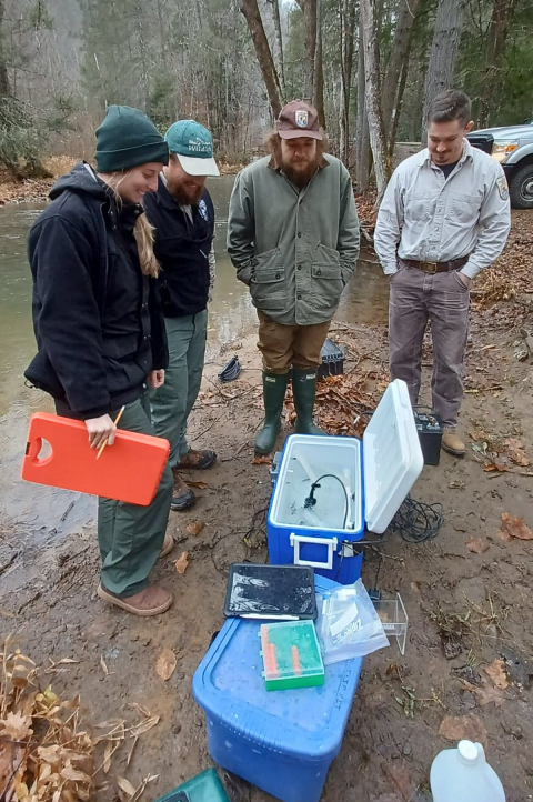 four people stand at a stream bank looking at fishery equipment