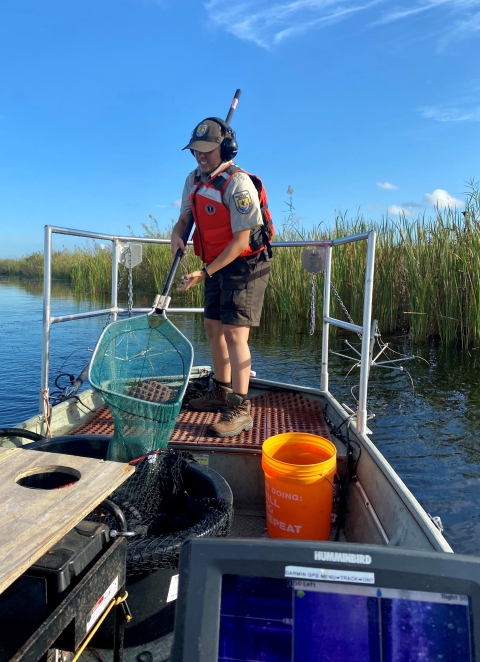 Rae Milmore (Loxahatchee NWR staff) gaining cross-program experience provided by FAC during the electrofishing collection of bowfin and Florida gar for stocking at the Miccosukee Reserve Area - Old Tamiami Canal. 