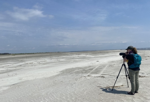 A woman takes a photograph on the beach
