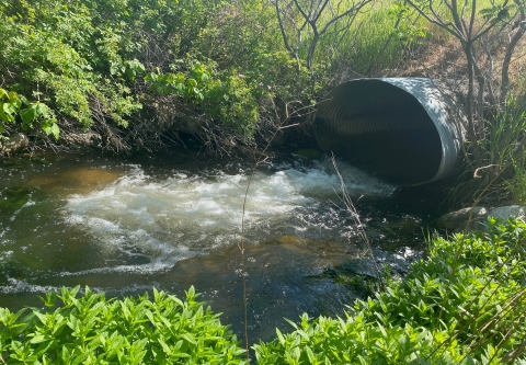 Water flowing out of a metal culvert into Johnson Creek