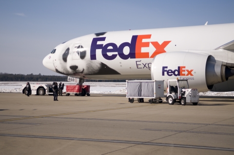 A large white cargo plan sits on a concrete runway, with decals of a panda and the FedEx logo showing prominently on the side of the plane. 