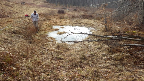 A volunteer taking a survey of a vernal pool