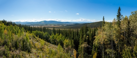a sweeping view of trees in a valley with mountains in the distance