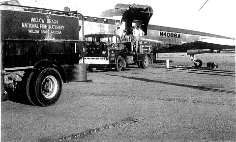 Black and white photo of biologists loading fish containers from a hatchery truck into an airplane