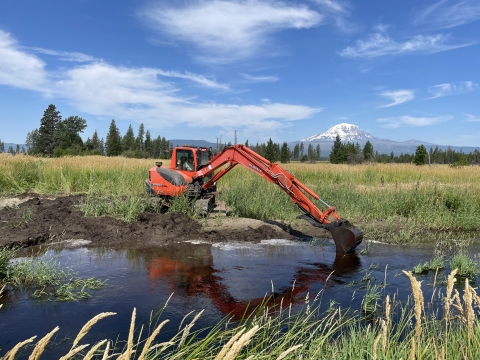 An excavator removes soil and plants from a pond, with trees, blue sky, and a snow capped mountain in the background.