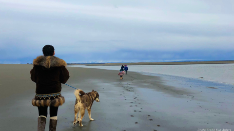 a woman walks a dog on the beach while children play ahead
