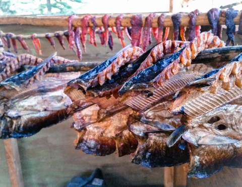 drying fish on a rack
