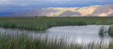 Area of open water surrounded by tall grass with mountains in the background. 