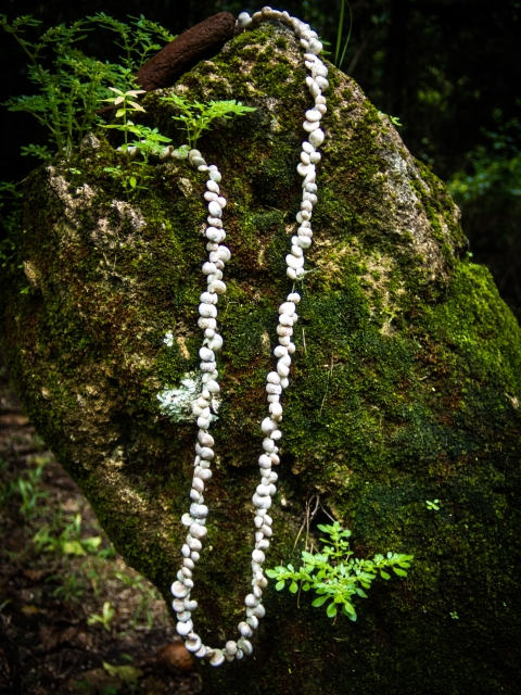 A shell lei sits on a rock. It is white and the rock has green moss. 