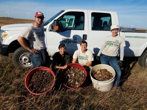 Conservation Corps Seed Harvest