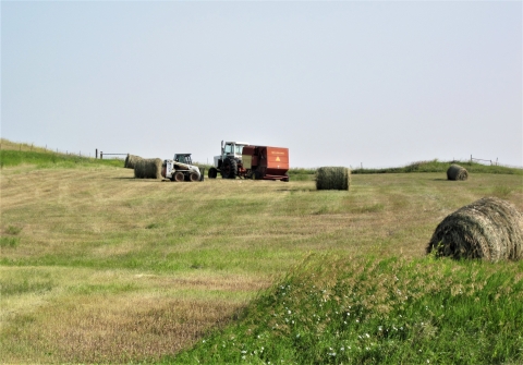 A tractor pulling a hay baler and a skid steer in a field surrounded by hay bales.