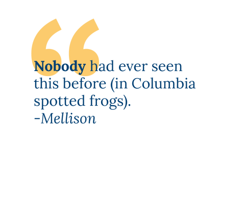 Nobody had ever seen this before (in Columbia spotted frogs). -Mellison