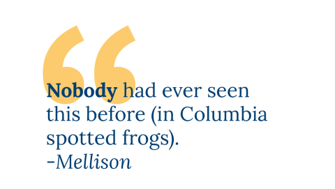 Nobody had ever seen this before (in COlumbia spotted frogs). -Mellison