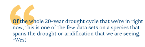 Of the whole 20 year drought cycle that we're in right now, this is one of the few data sets on a species that spans the drought or aridification that we are seeing. -West