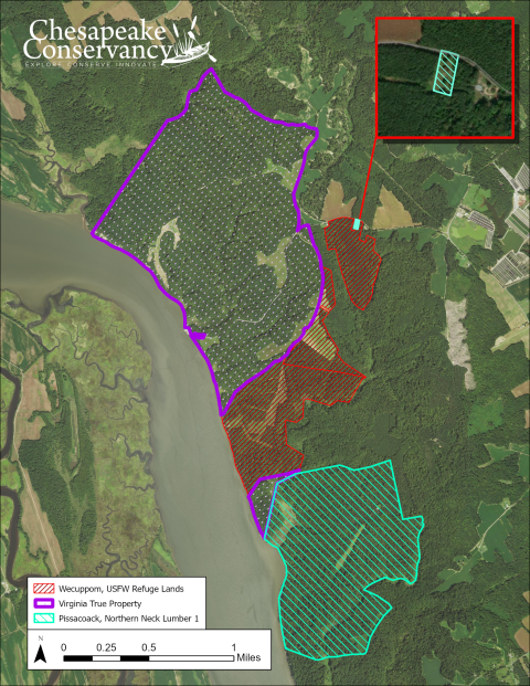 An aerial image of land along the Rappahannock River. The Wecuppom property of the USFWS Refuge Lands are shaded in red. A much larger property to the left of the refuge lands is shaded purple and designated "Virginia True Property." Finally to the right of the refuge lands is the Pissacoak property shaded in blue. At the top right is a water mark that reads "Chesapeake Conservancy."