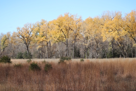 Fall colors on the Karl E. Mundt NWR