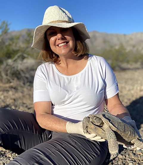 Woman sitting on ground holding a wild Mojave desert tortoise